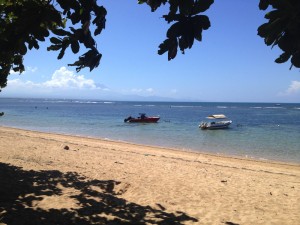 Lunch at the beach!