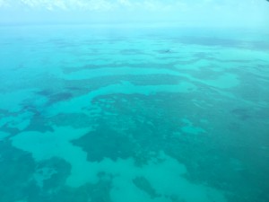 Another prop plane view from above